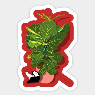 Cute tuxedo cat and Fiddle Leaf Fig Tree Copyright TeAnne Sticker